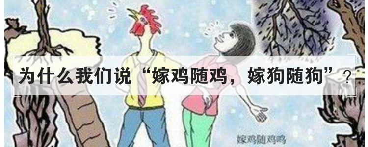 为什么我们说嫁鸡随鸡 嫁狗随狗