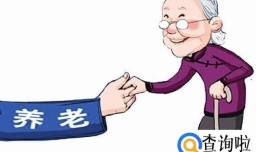 商业养老保险和农保的区别,农村养老保险怎么交