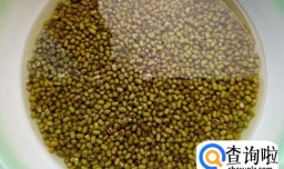 在家怎么做绿豆糕？