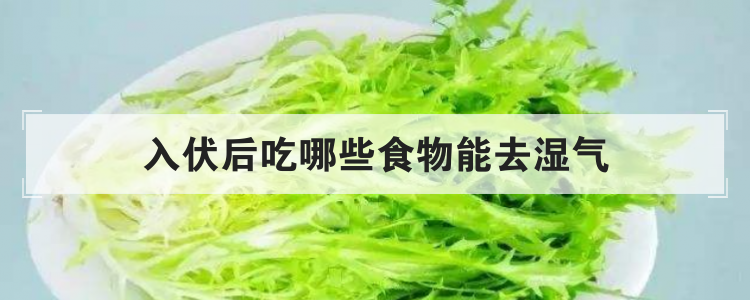 入伏后吃哪些食物能去湿气