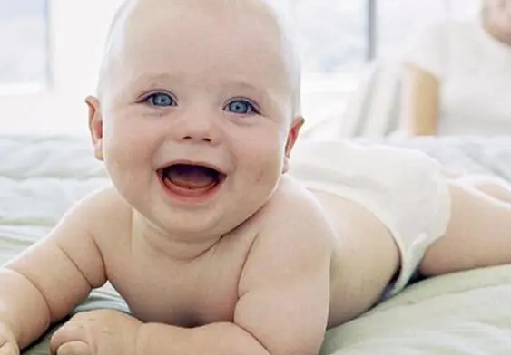 本能的意思是什么意思