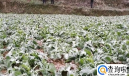 惊蛰起大风会倒春寒吗2023