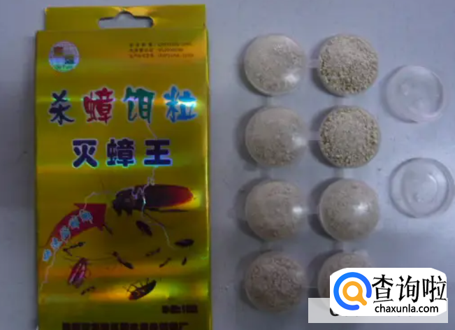 厨房里发现了蟑螂的处理方法