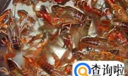 怎样自己在家做麻辣小龙虾？