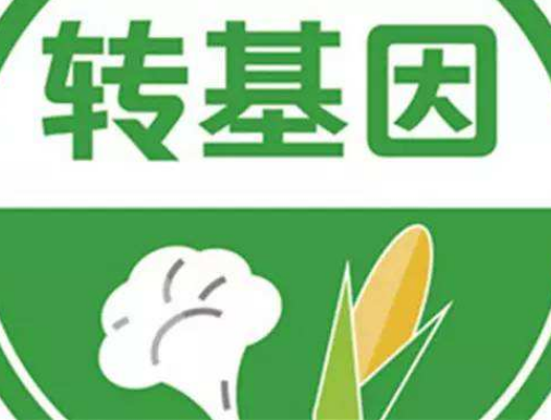 转基因是什么意思