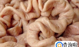 猪大肠都有哪些营养价值？猪大肠怎么吃好吃？
