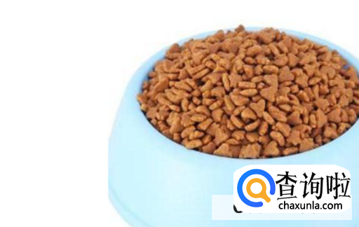 如何给猫咪选择一款合适的猫粮