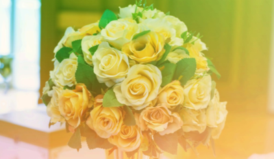 白玫瑰代表什么