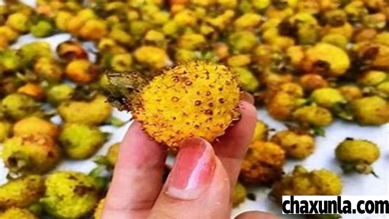 野生刺梨的功效有哪些