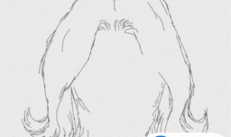 教你画漫画人物的头部