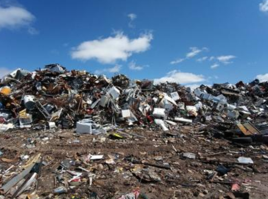 哪类垃圾可以进行填埋处理