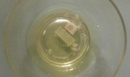 如何用电饭锅做蛋糕