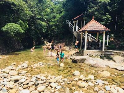 欲知山中事下一句是什么