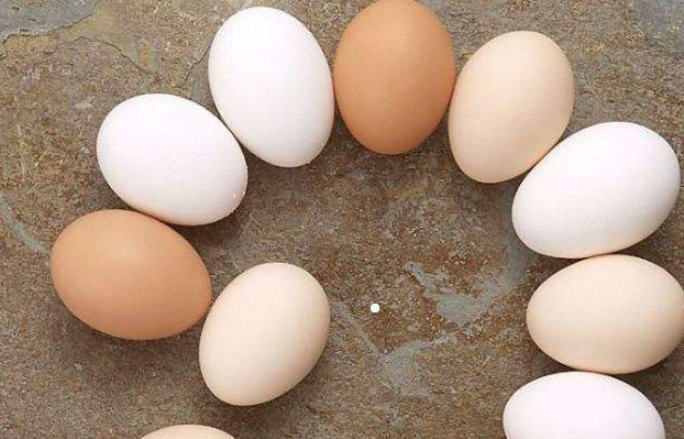 鸡蛋和鹅蛋的营养价值有什么不同