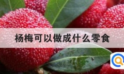 杨梅可以做成什么零食