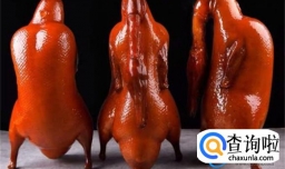 头一次见烤鸭做法 两天不吃馋的很 鲜美入味 太香了