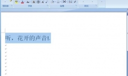 word音标怎么打