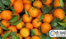 如何做冰糖桔子水