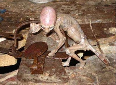 世界上有没有外星人