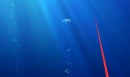 华为手机怎么开启滤镜拍摄