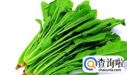 怎么吃菠菜减肥