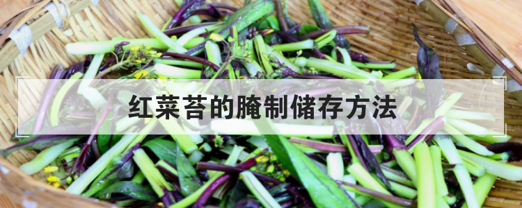 红菜苔的腌制储存方法