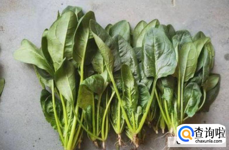 菠菜的储存方法