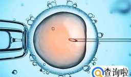 三代试管婴儿手术可以选择性别吗