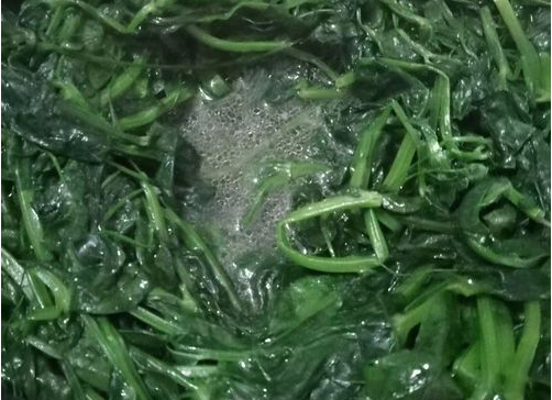 龙须豆苗怎么做好吃