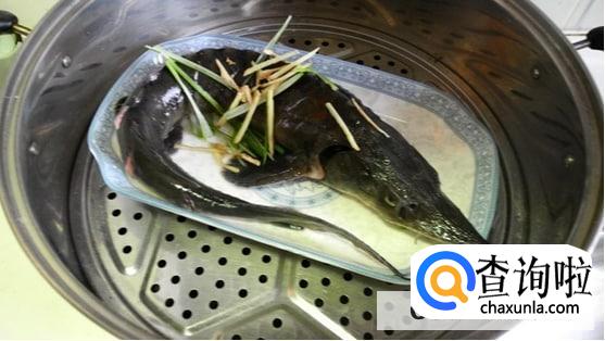 清蒸鲟鱼的正宗做法