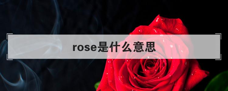 rose是什么意思