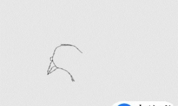 简笔画鸽子的画法，鸽子的画法简笔画图片