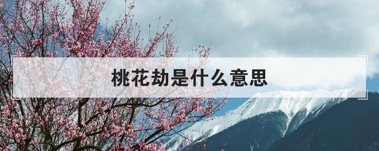 桃花劫是什么意思