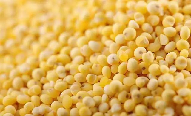 大米和小米能一起熬粥吗