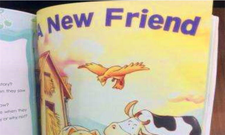 friend是什么意思