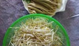 绿豆芽炒豆皮的家庭做法