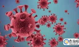 感染新冠对备孕有没有影响