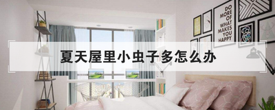 夏天屋里小虫子多怎么办