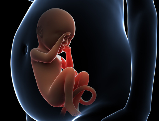 双顶径是什么意思