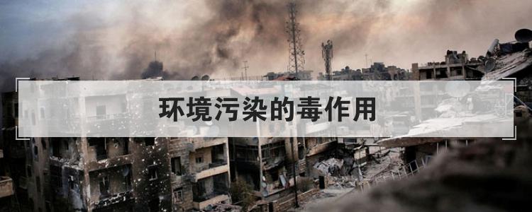 环境污染的毒作用