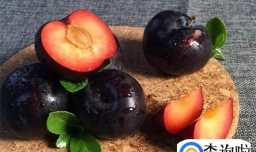 黑布林怎么吃不酸