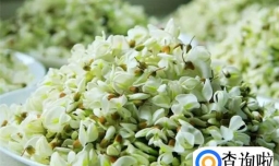 刚摘的槐花怎么保存