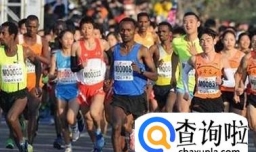 揭秘“跑马热”背后的经济账单