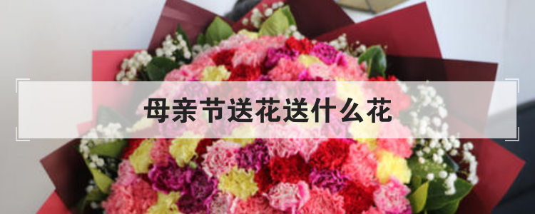 母亲节送花送什么花
