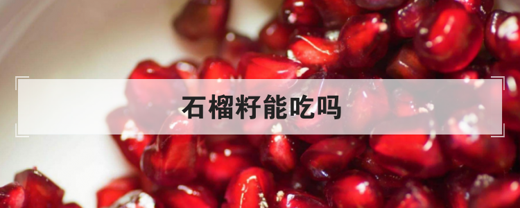 石榴籽能吃吗