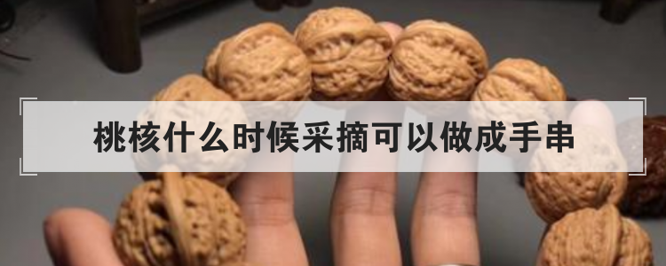 桃核什么时候采摘可以做成手串