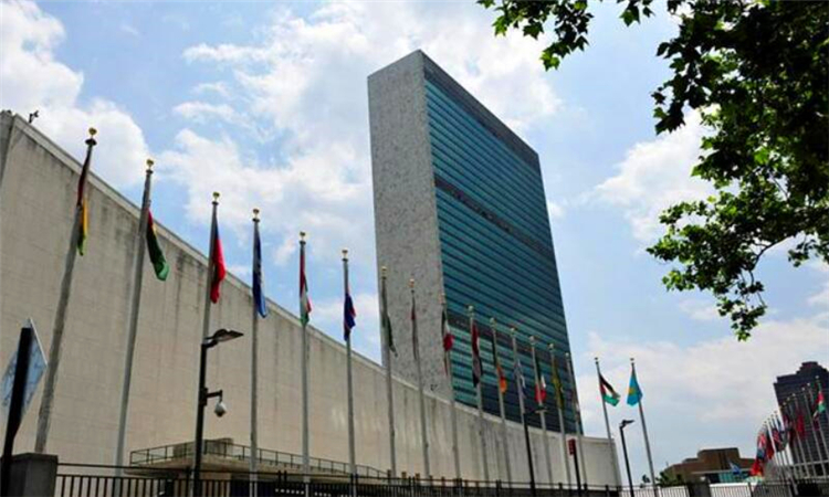 联合国总部设在美国的什么市