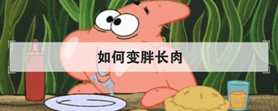 如何变胖长肉