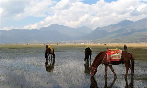 丽江十大旅游景点排名
