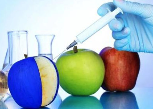 转基因是什么意思